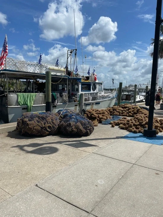 Bath Sponge with Natural Sea Sponge - Variety of Scents - Picture 5 of 5
